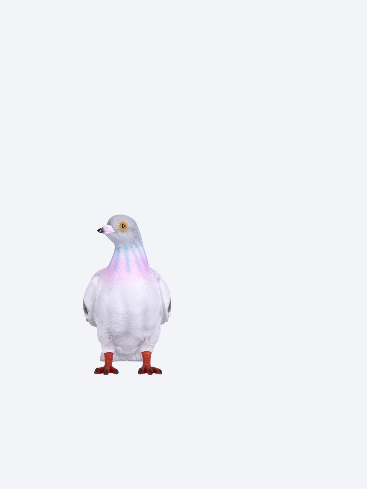 Pigeon clutch 3