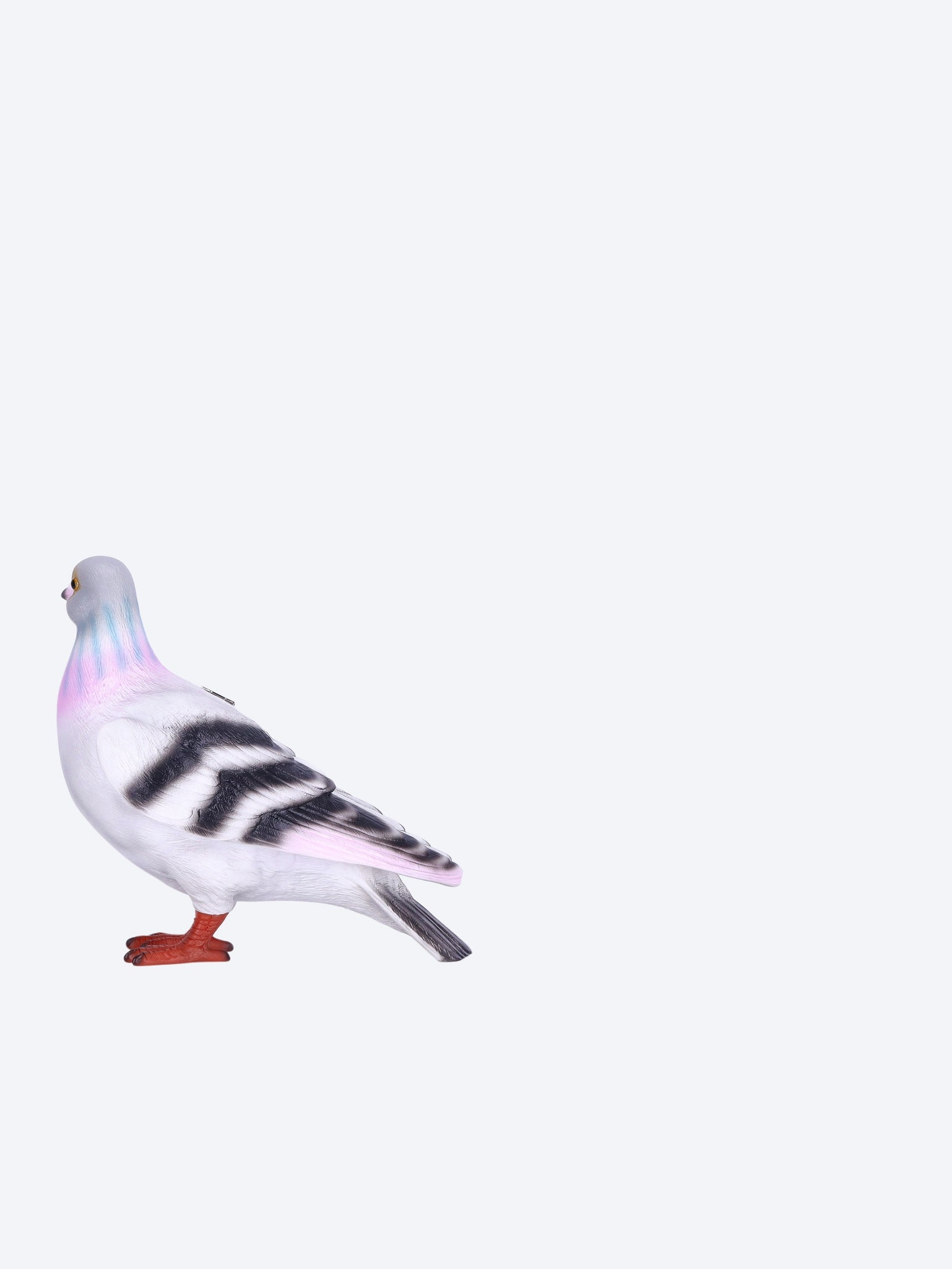 Pigeon clutch 4