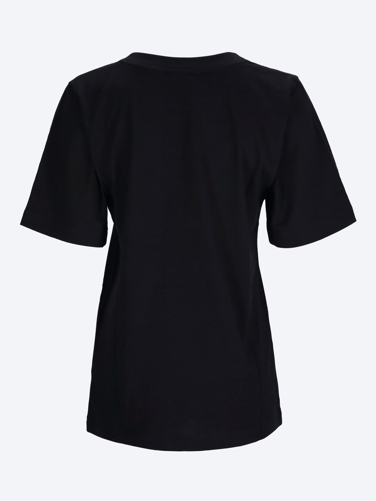 Allen Seidentop 2