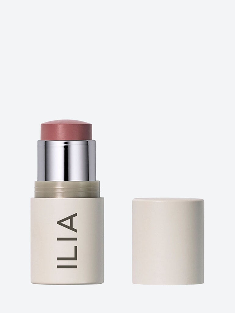 Endlich Dusty Rose Multistick 1