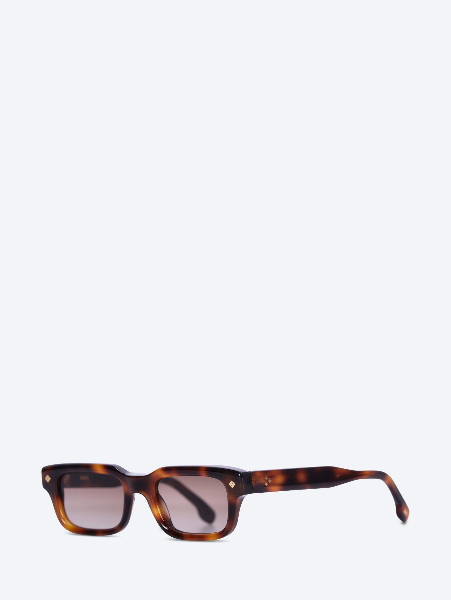 Carlton sunglasses 2
