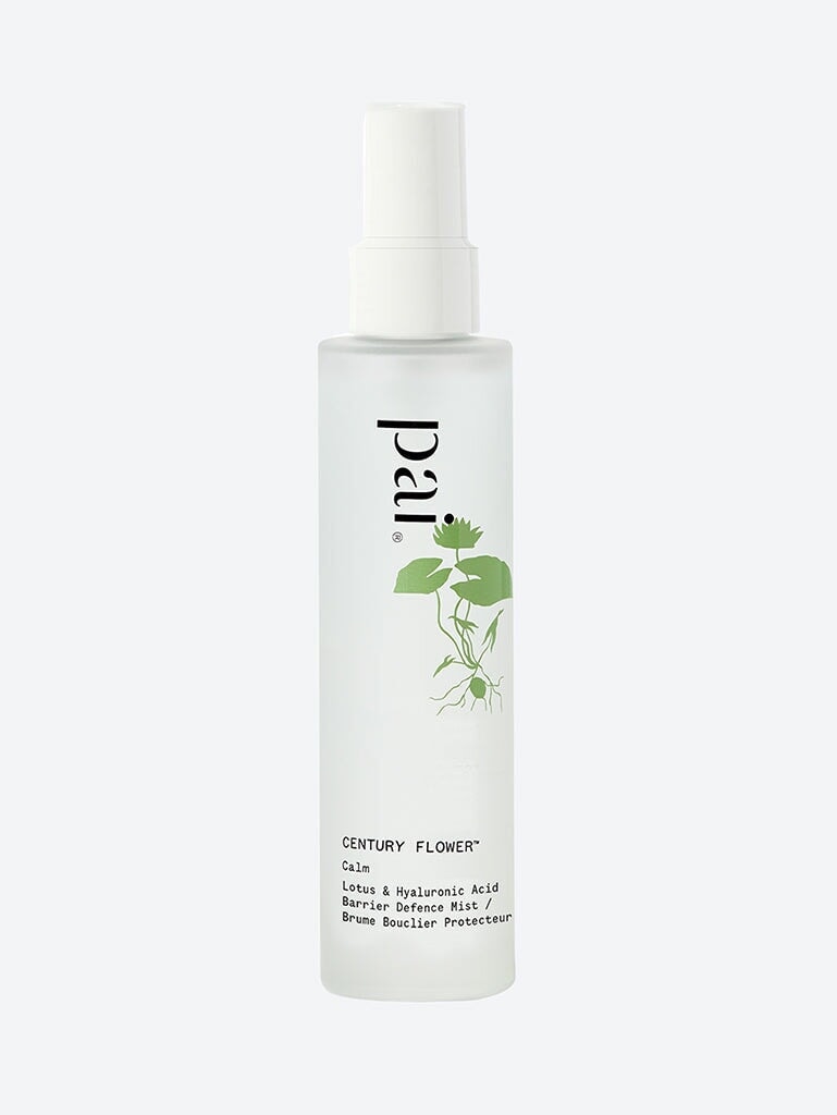 Century flower 100ml 1