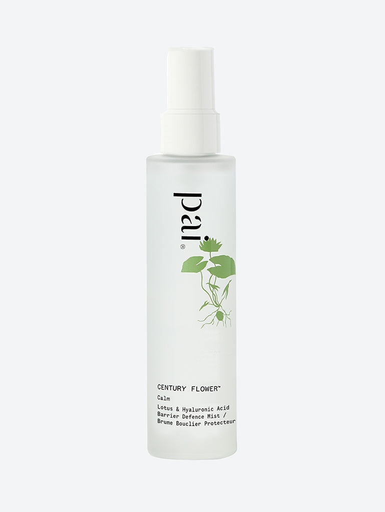Century flower 100ml 1