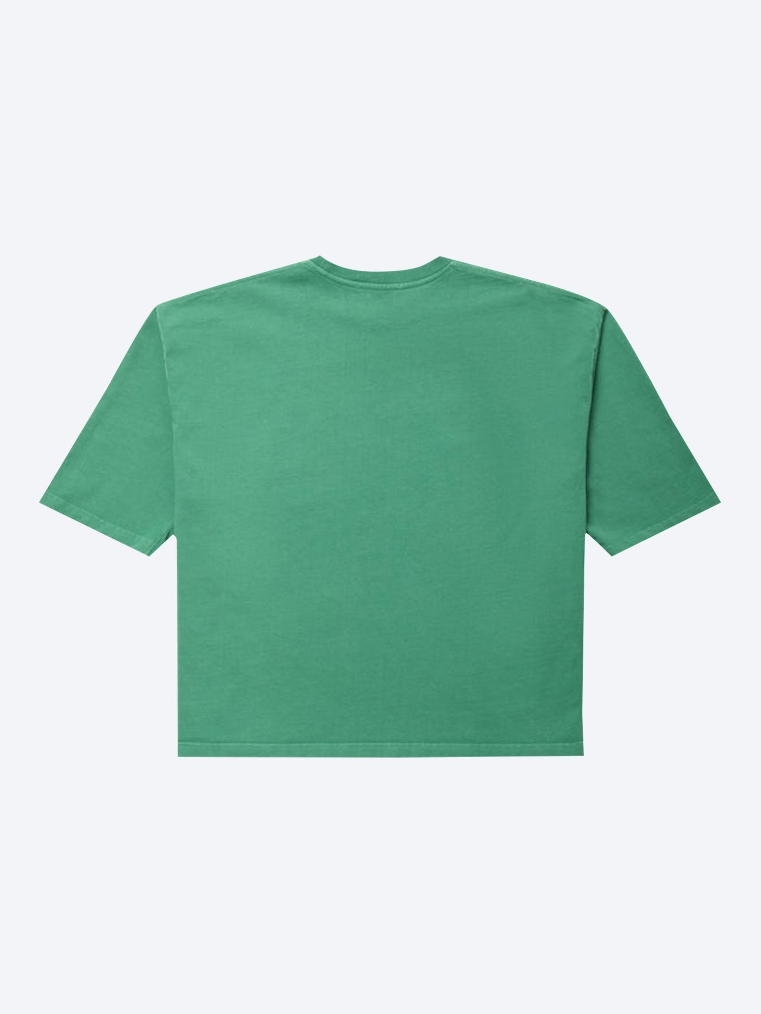 Chavarria community center - buffalo t-shirt 2
