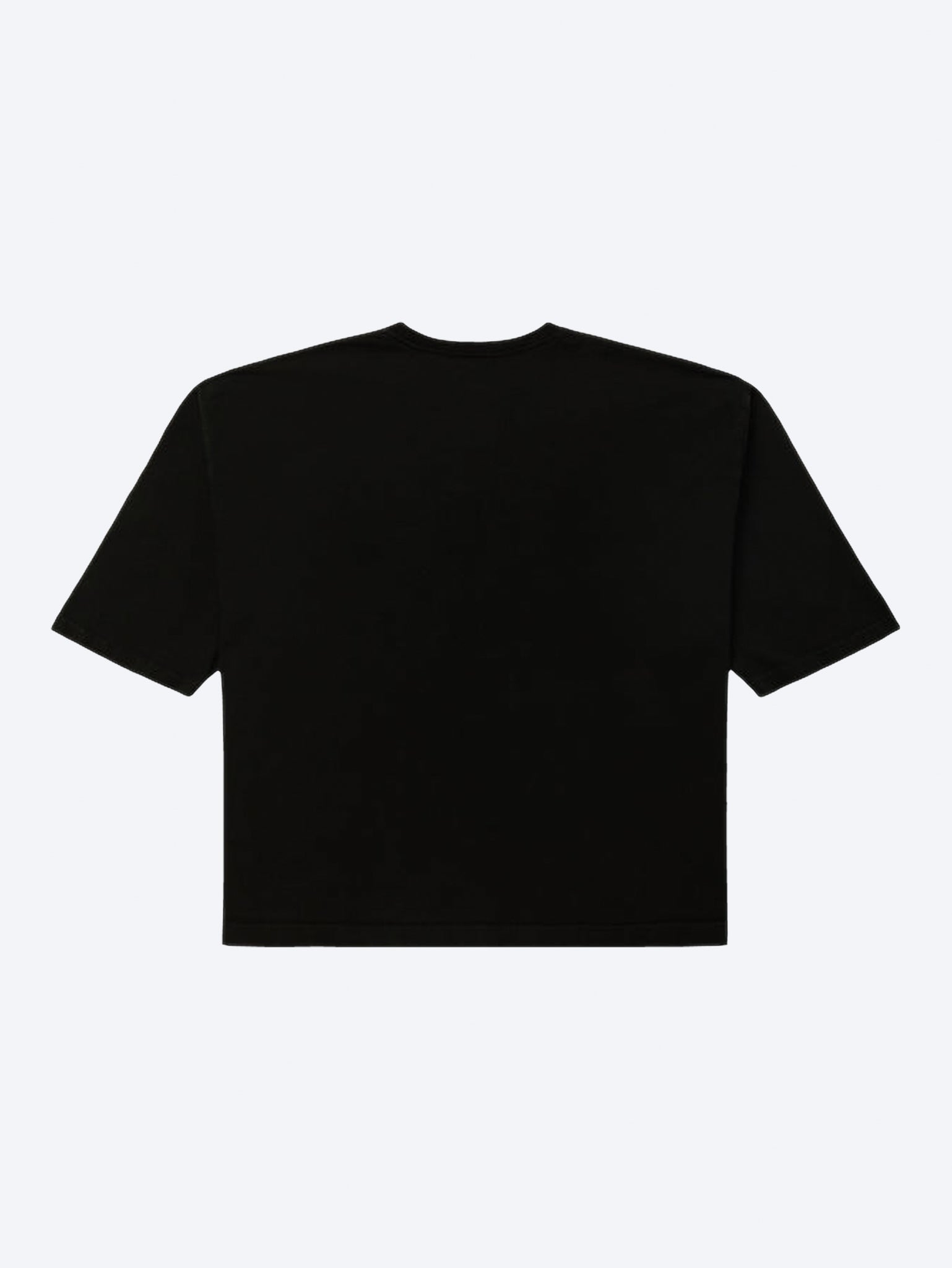 T-shirt de buffle du centre communautaire de Chavarria 2