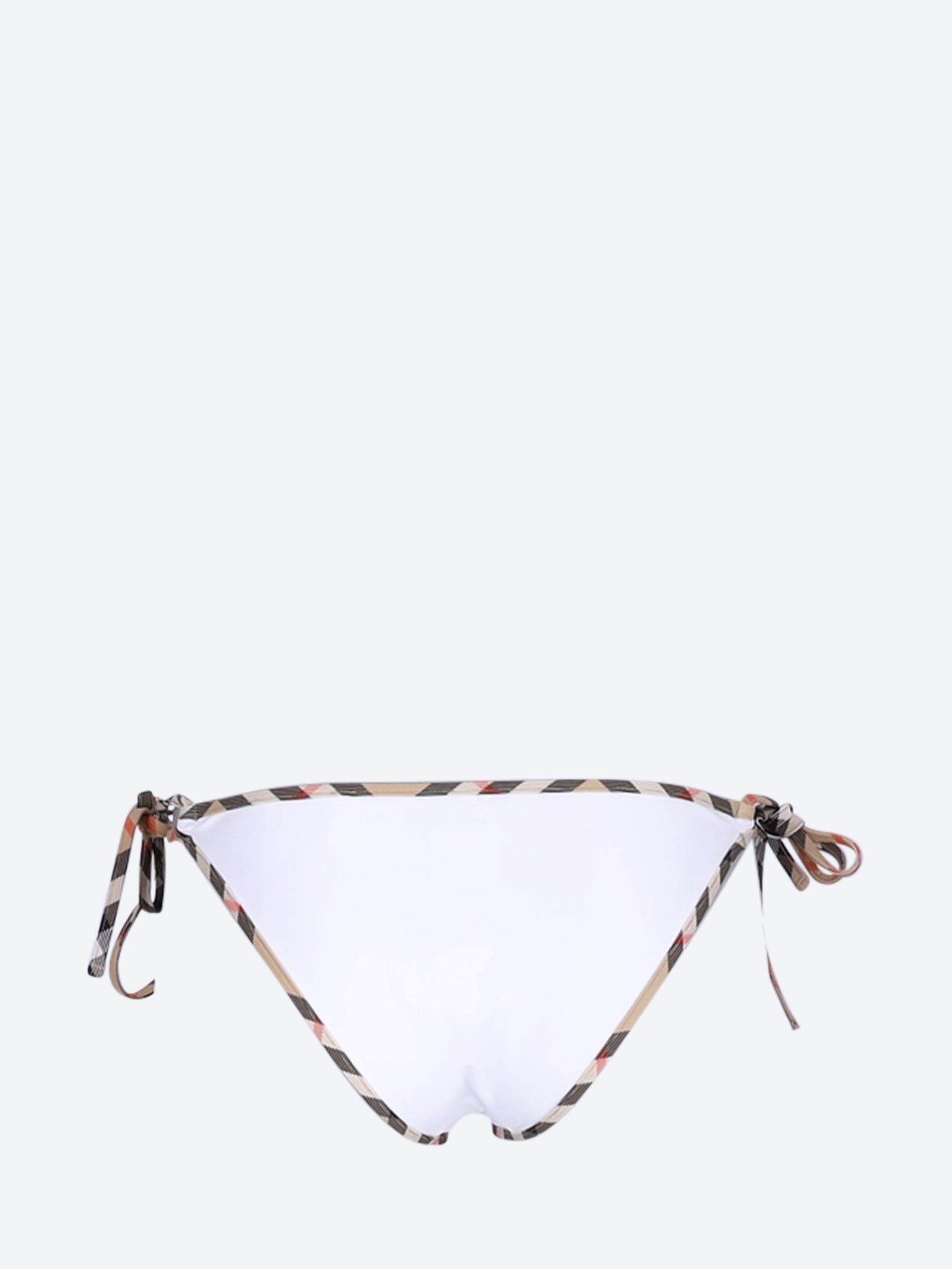Check bikini briefs 2