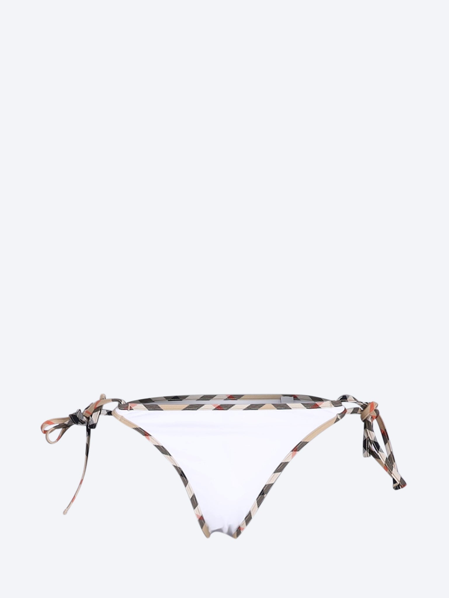 Check bikini briefs 1