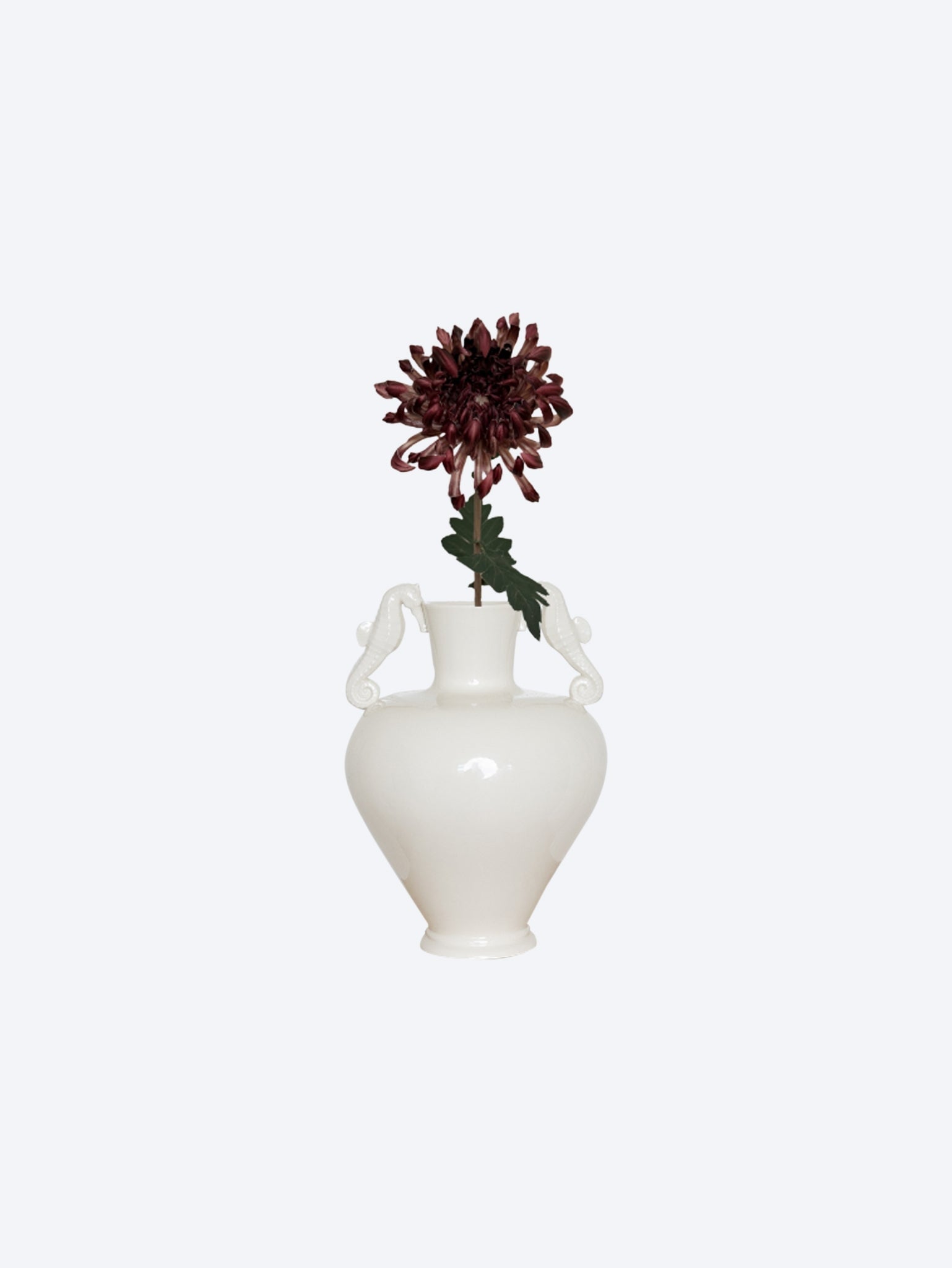 Chrysanthemenblütenkaffee 77cm 1