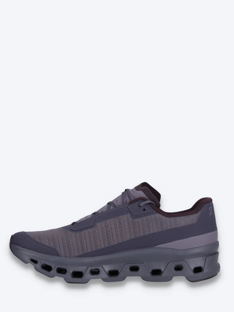 baskets Cloudmonster vides 4