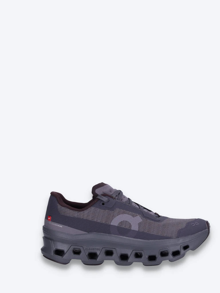baskets Cloudmonster vides 1