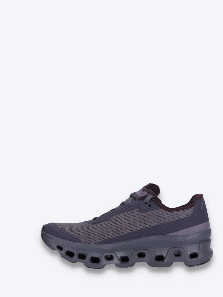 baskets Cloudmonster vides 4