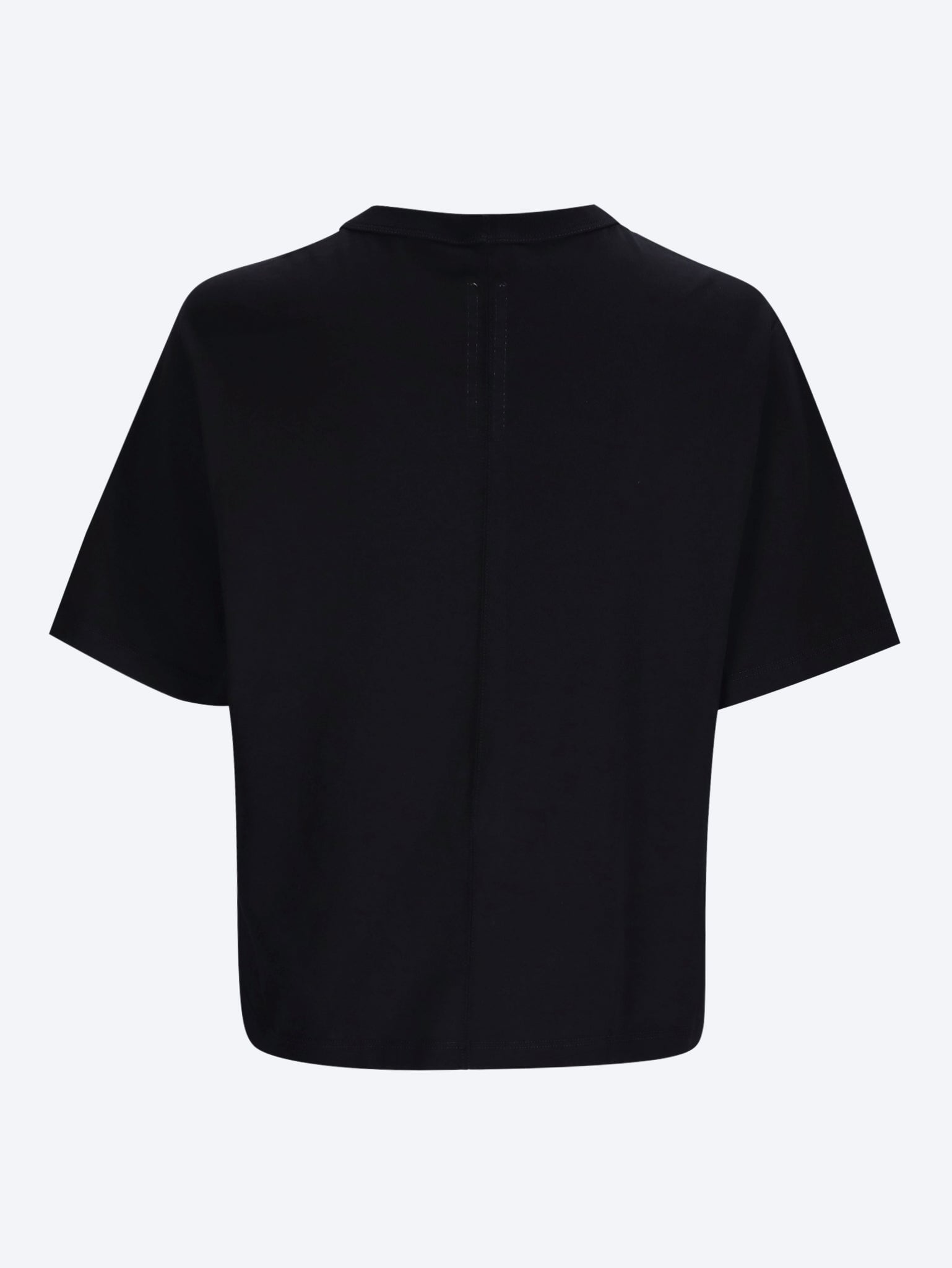 Cropped brad t-shirt 2