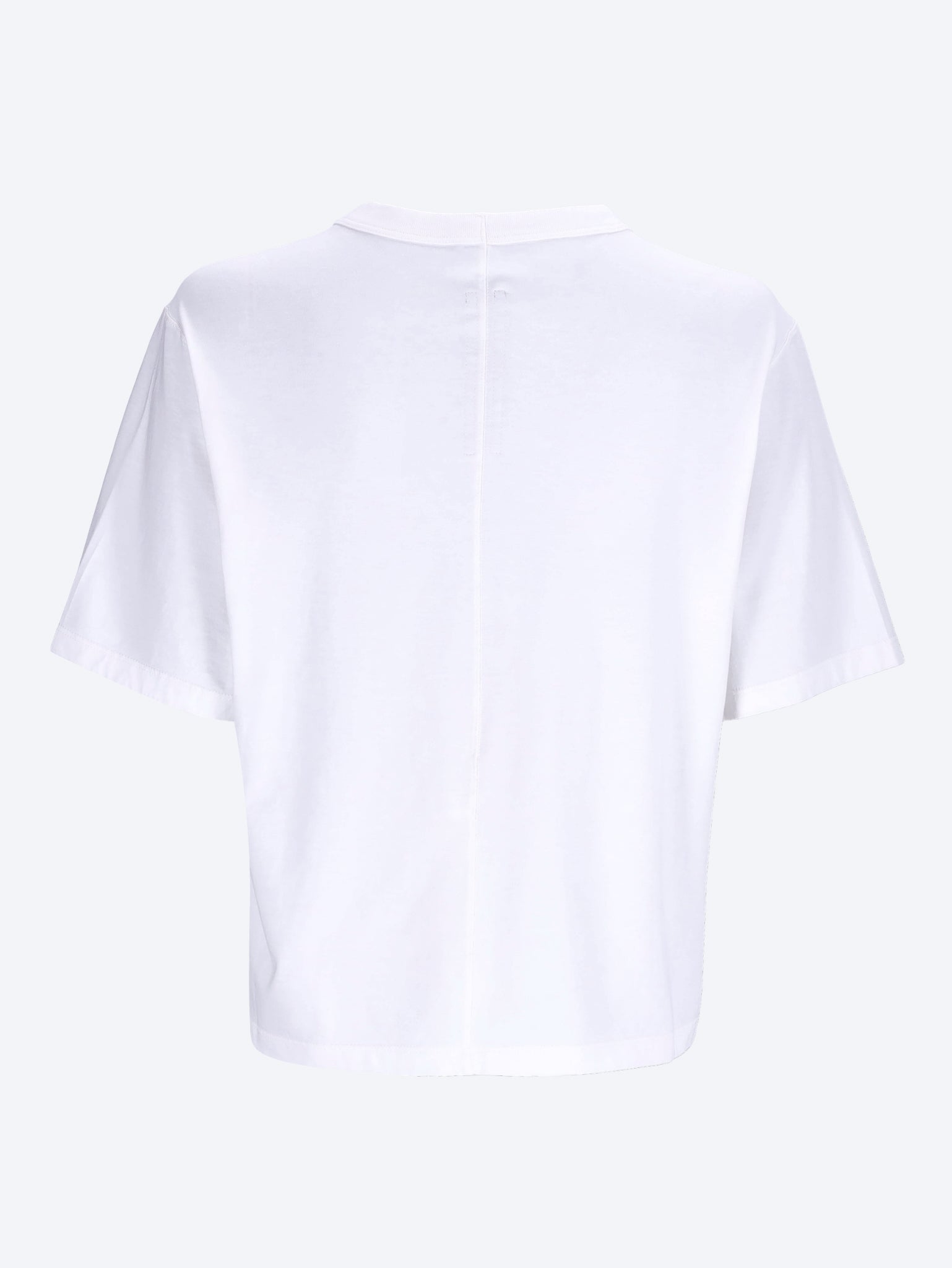 Cropped brad t-shirt 2