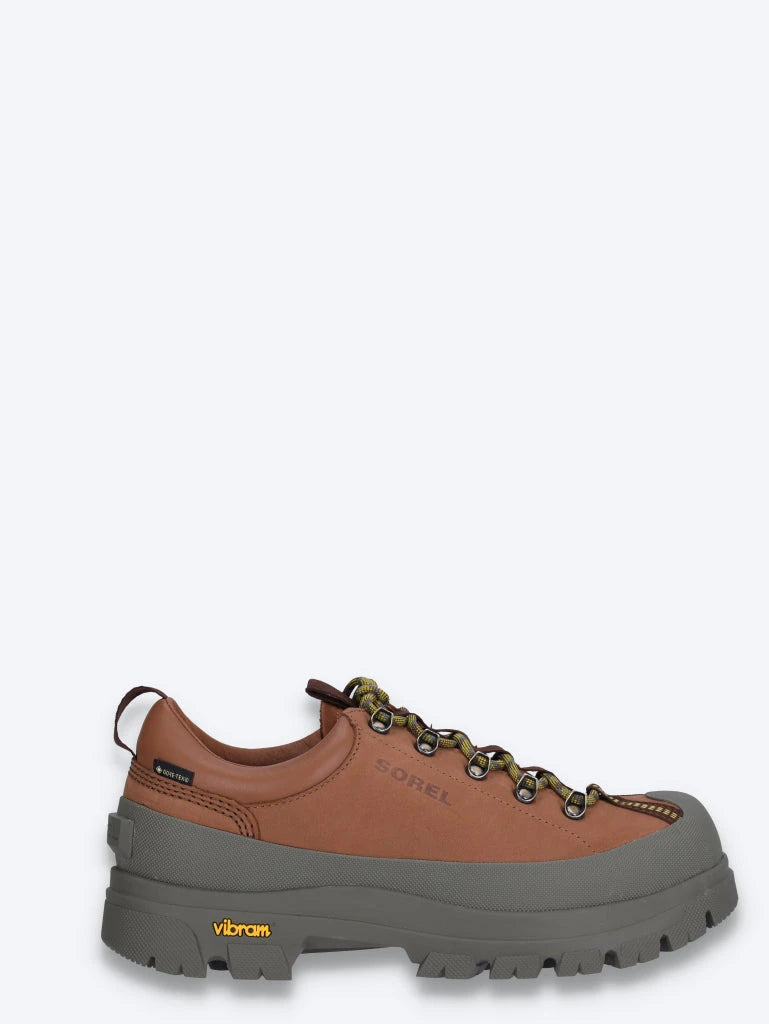 Daystorm nomad gtx sneakers 1