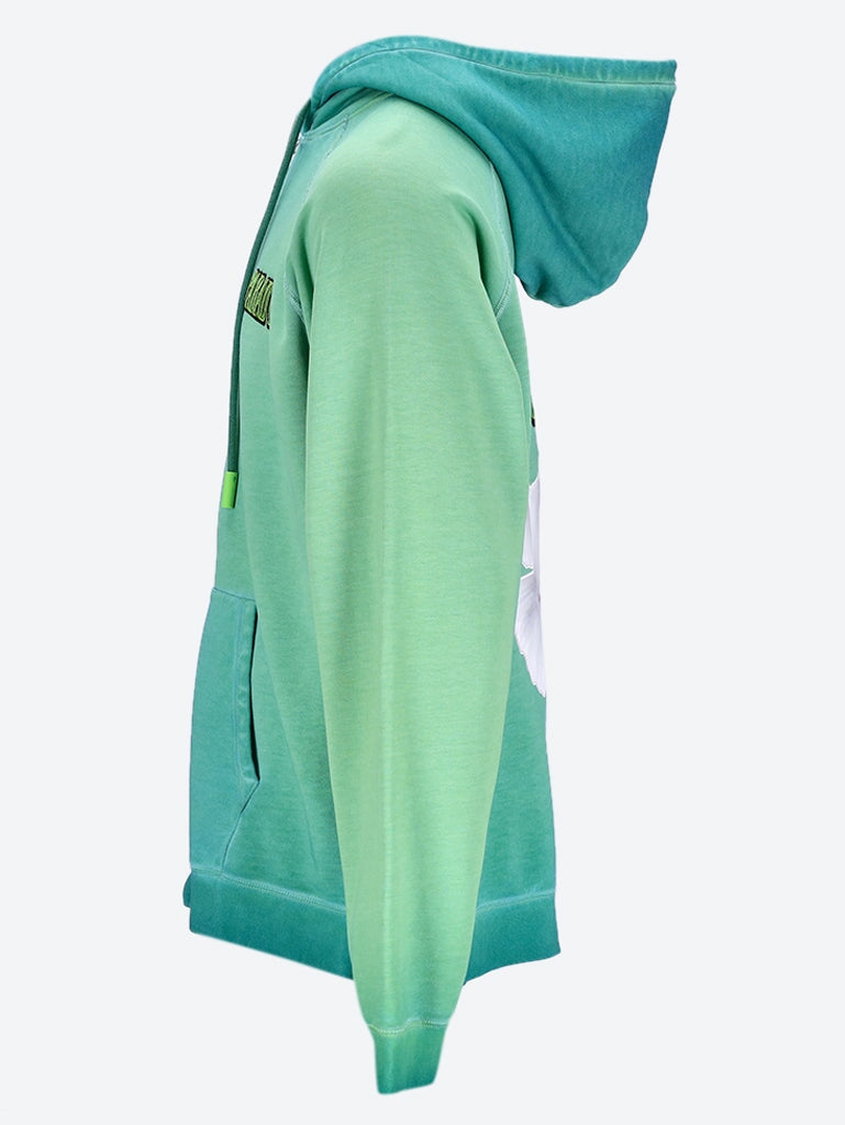 Dove zip hooded sweater in green 2