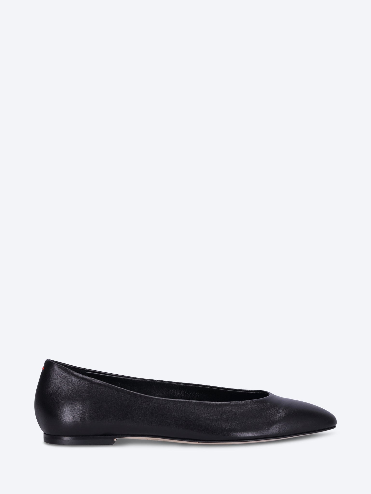 Ellie ballerinas 1