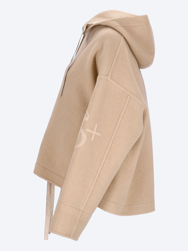 Veste à capuche de vêtements de sport feutré 2