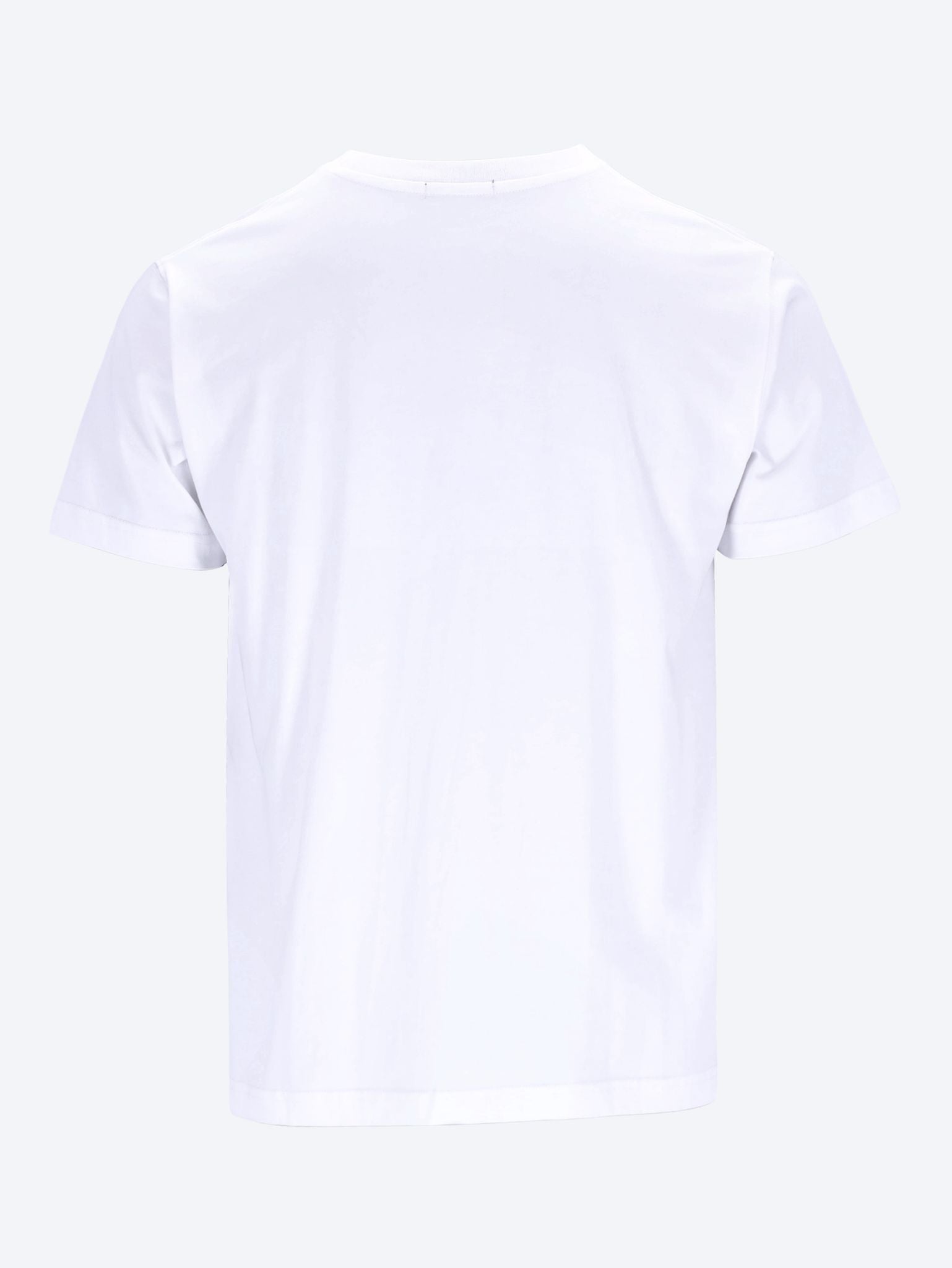 Globe tee-shirt 2