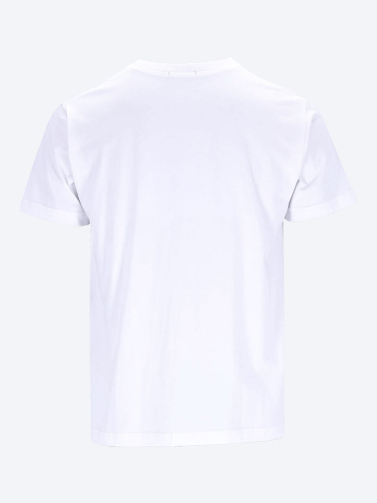 Globe tee-shirt 2