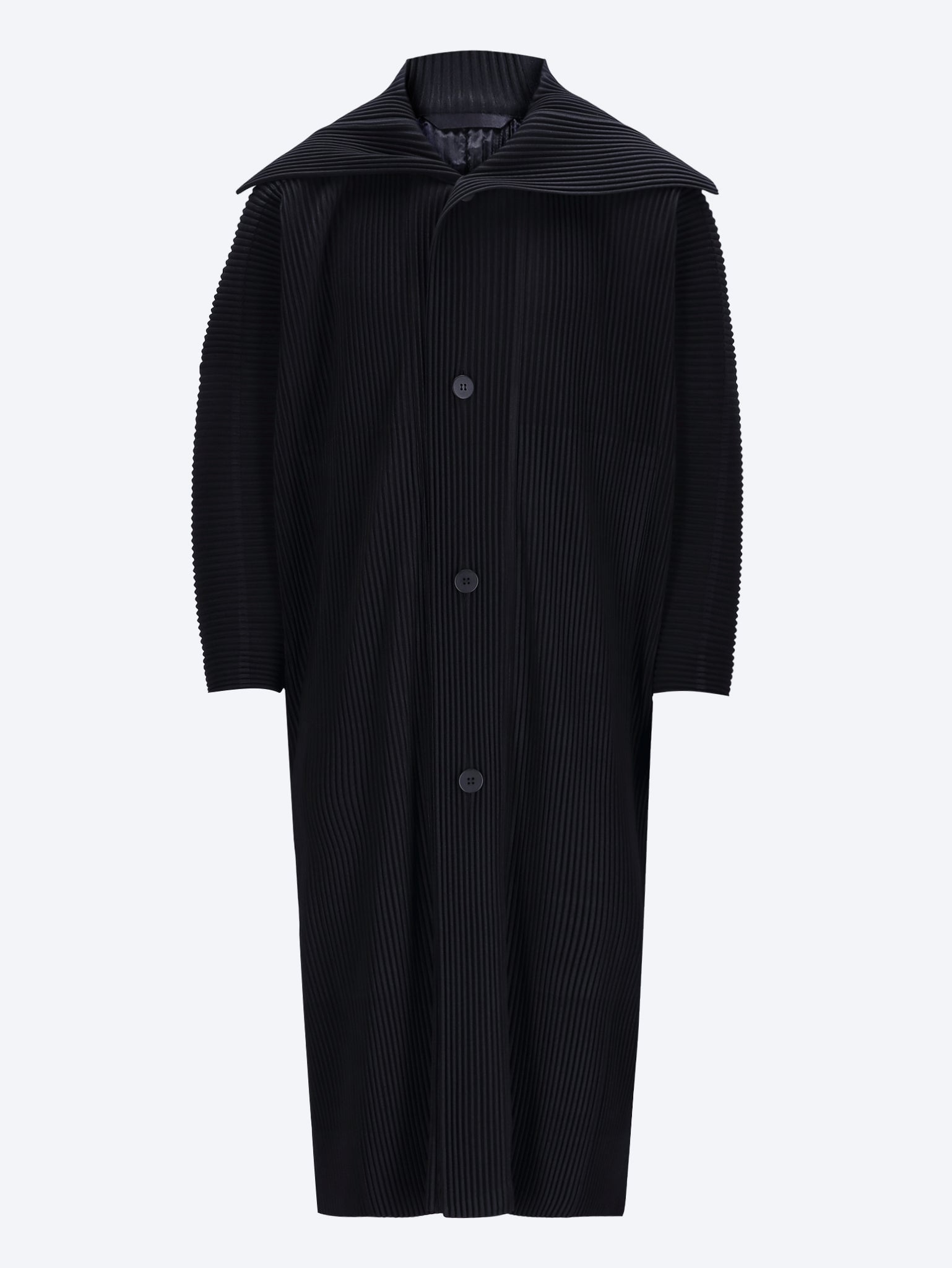 January coat 1