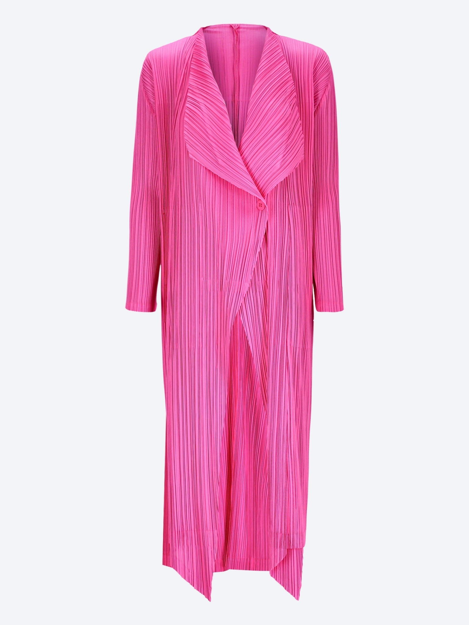 January coat 1