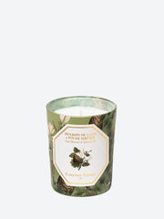 Laos benzoin &siberian fir candle ref: