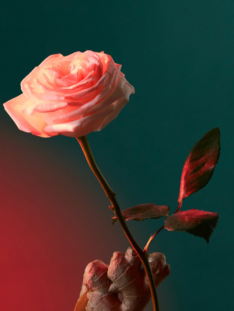 Liquid love edp 100ml 3