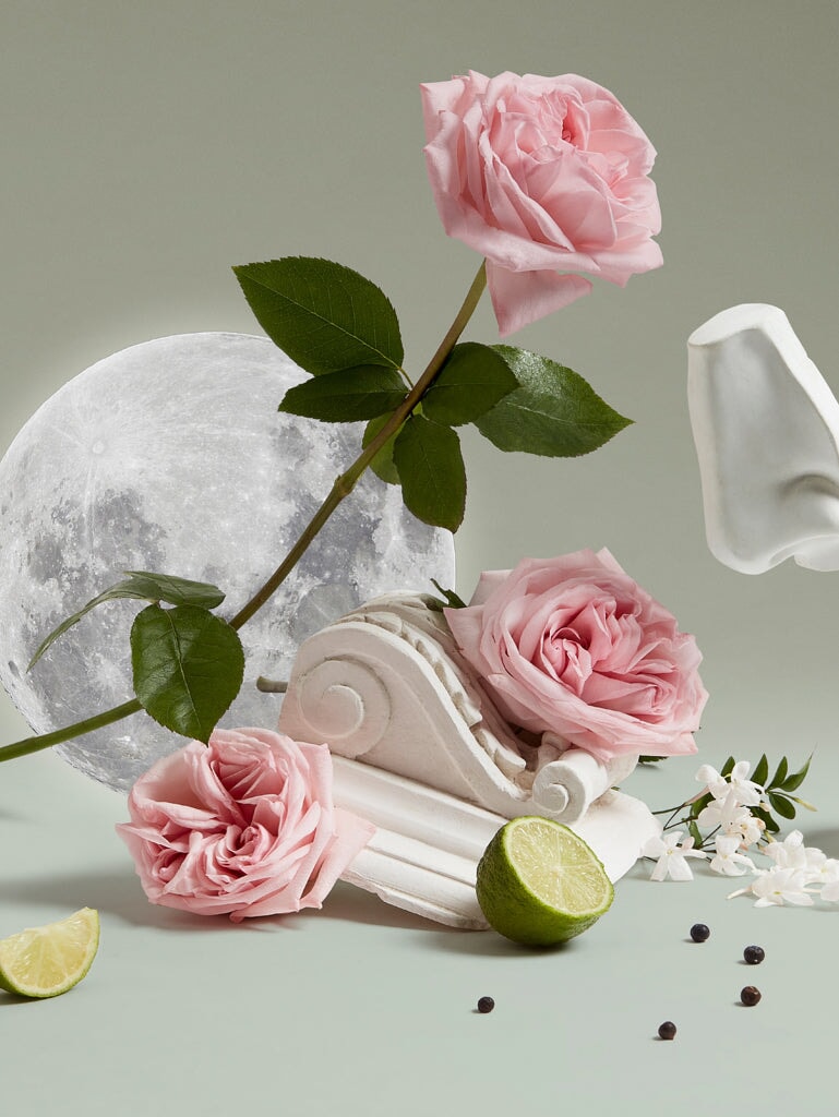 Lotion de la main et du corps luna 2