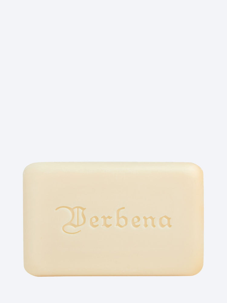 Milky soap verbena 1