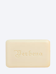 Milky soap verbena ref: