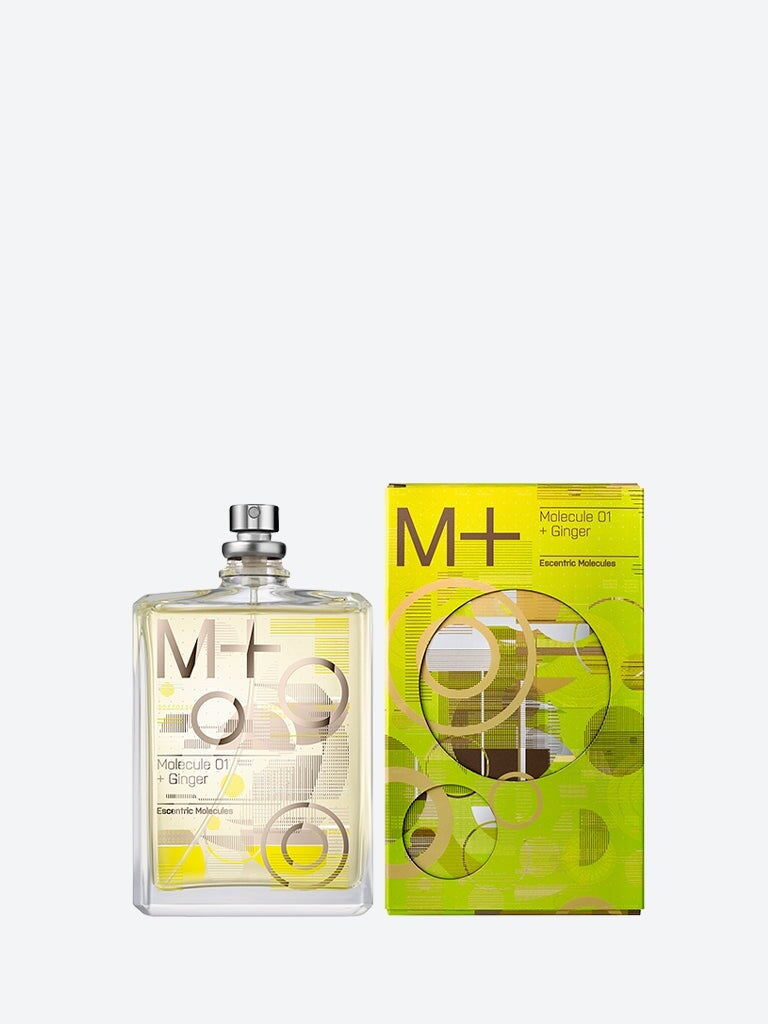 Molécule 01 + gingembre 100ml 2