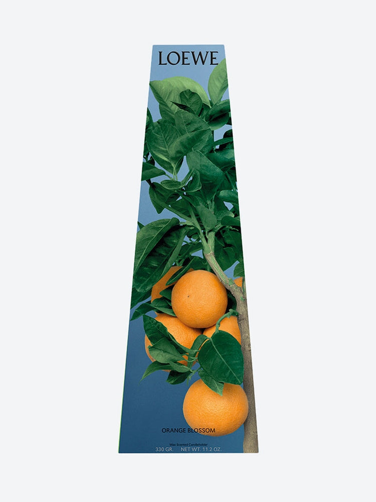 Bougeoir de cire d'orange 2