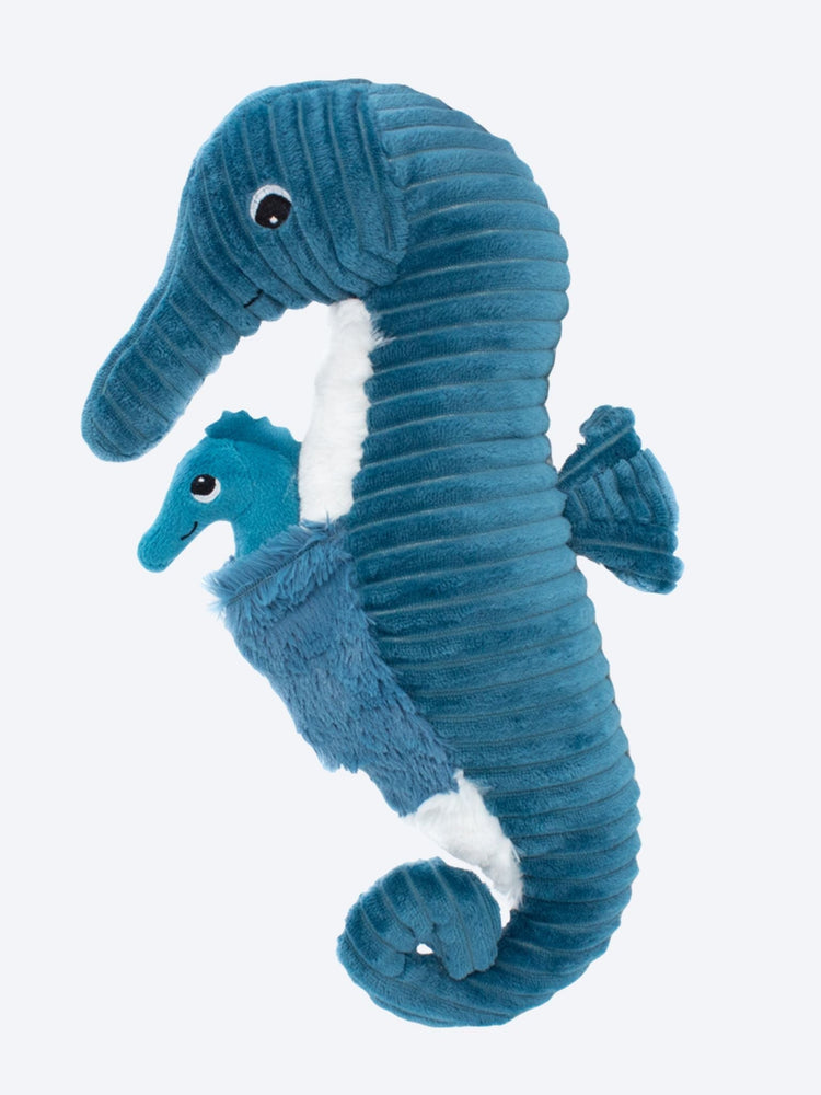 Papadou L Hippocampe Papa Et Bebe Bleu 2