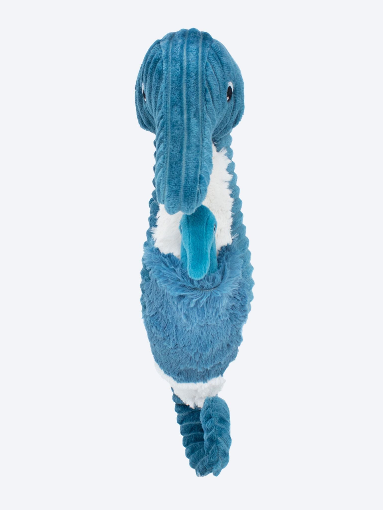 Papadou L Hippocampe Papa Et Bebe Bleu 3