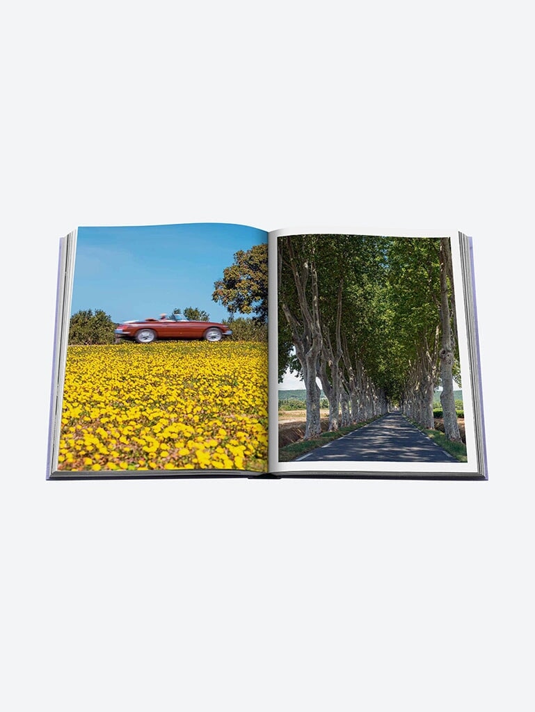 Der Ruhm der Provence 11
