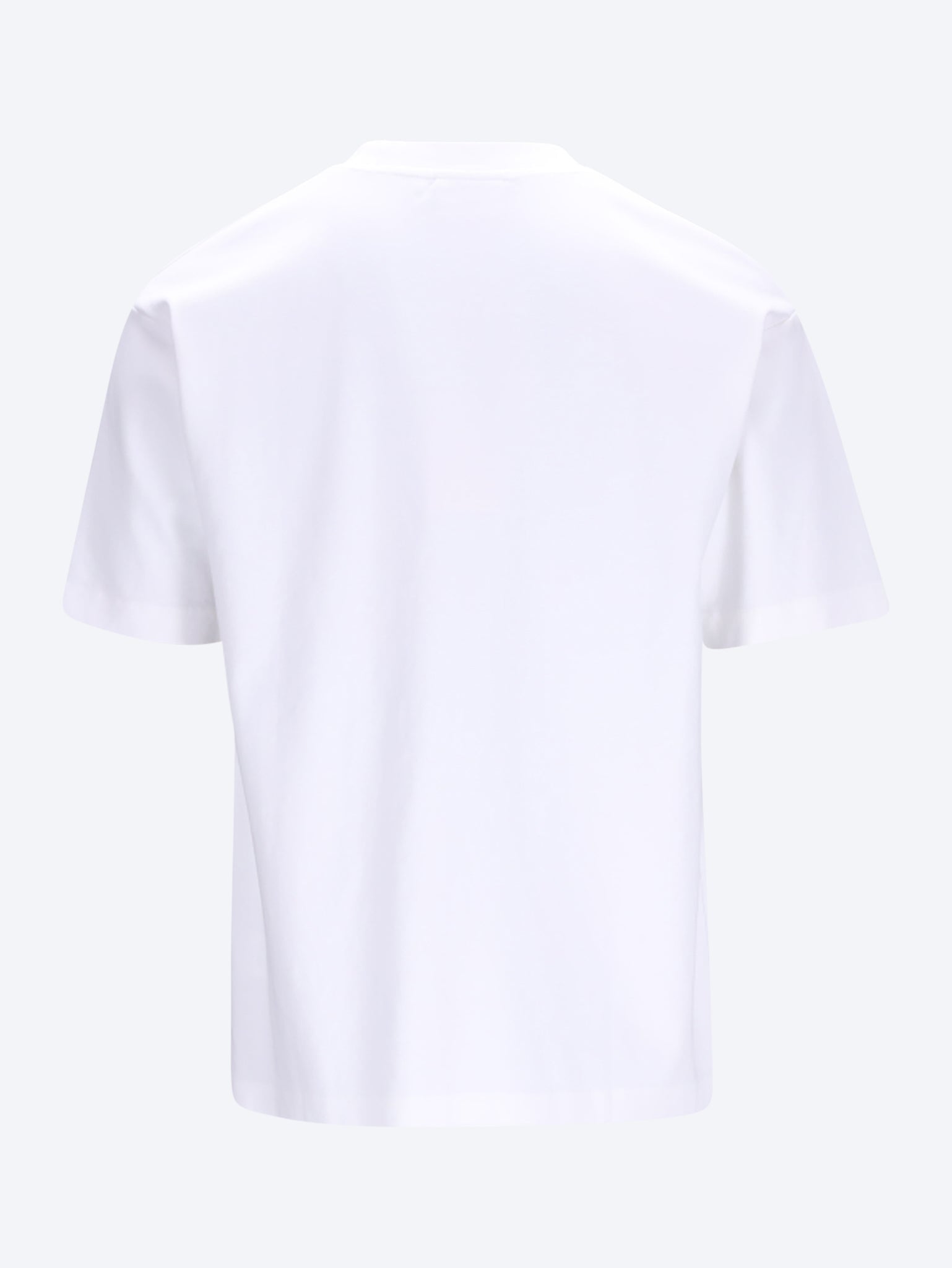 Ringboxer 2