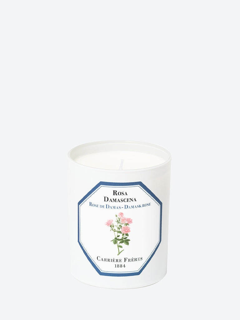 Rosa damascena damask rose candle 1
