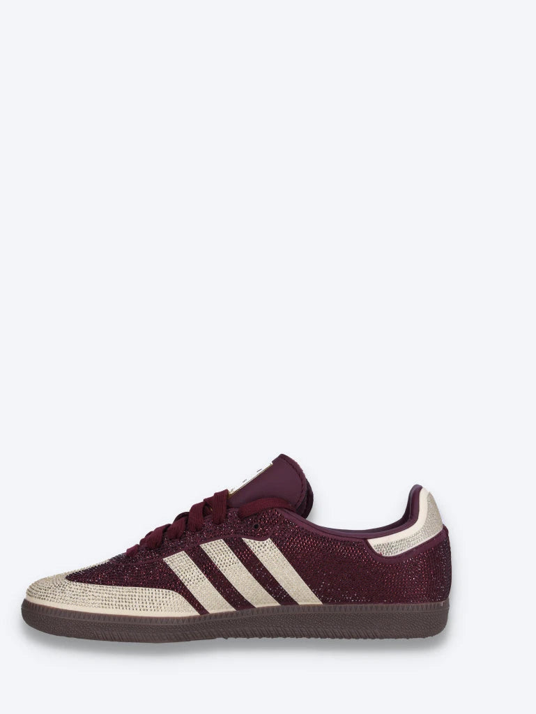 Samba und Turnschuhe 4