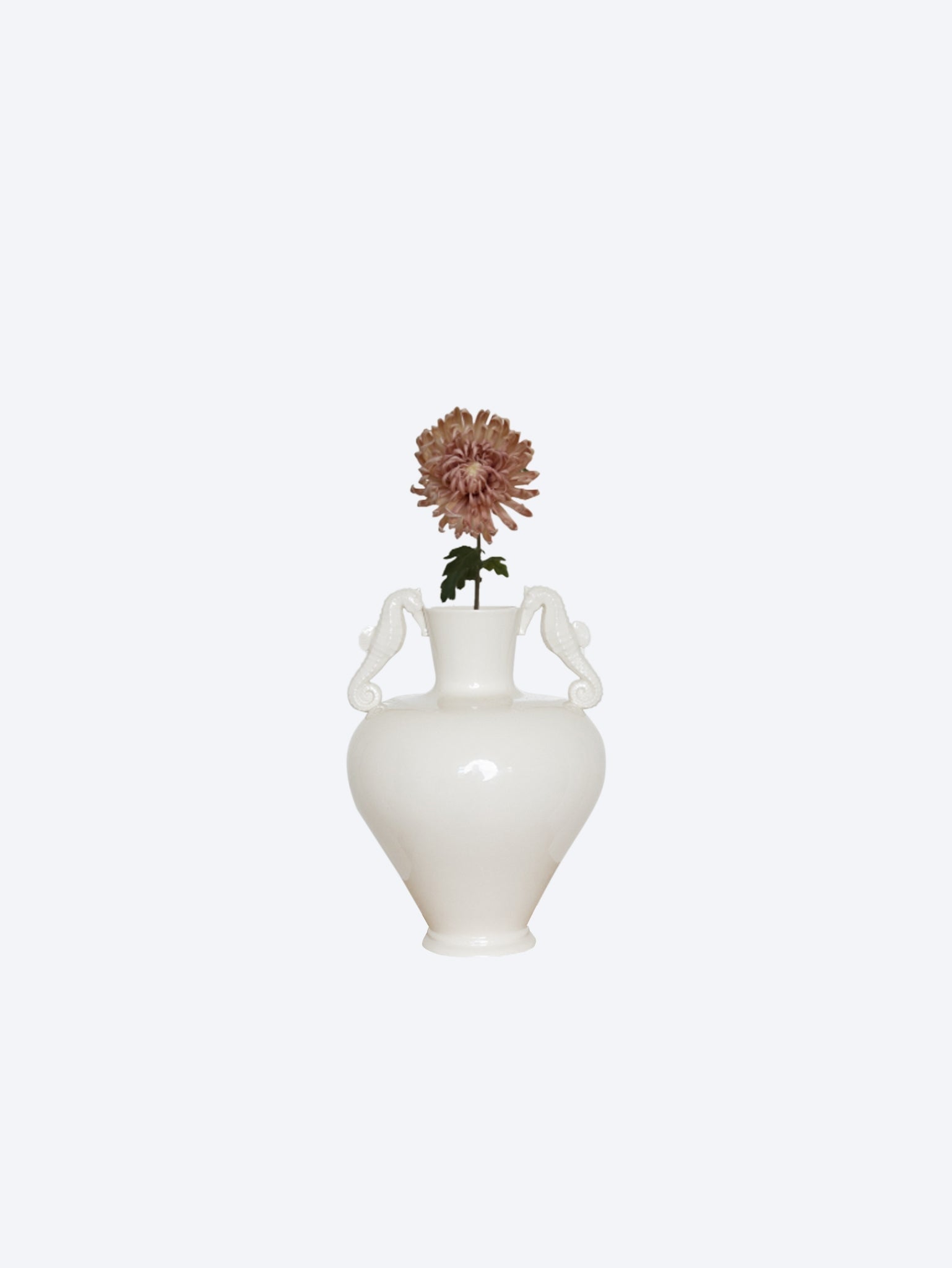 Semi-cactus dahlia flower coffee 60cm 1