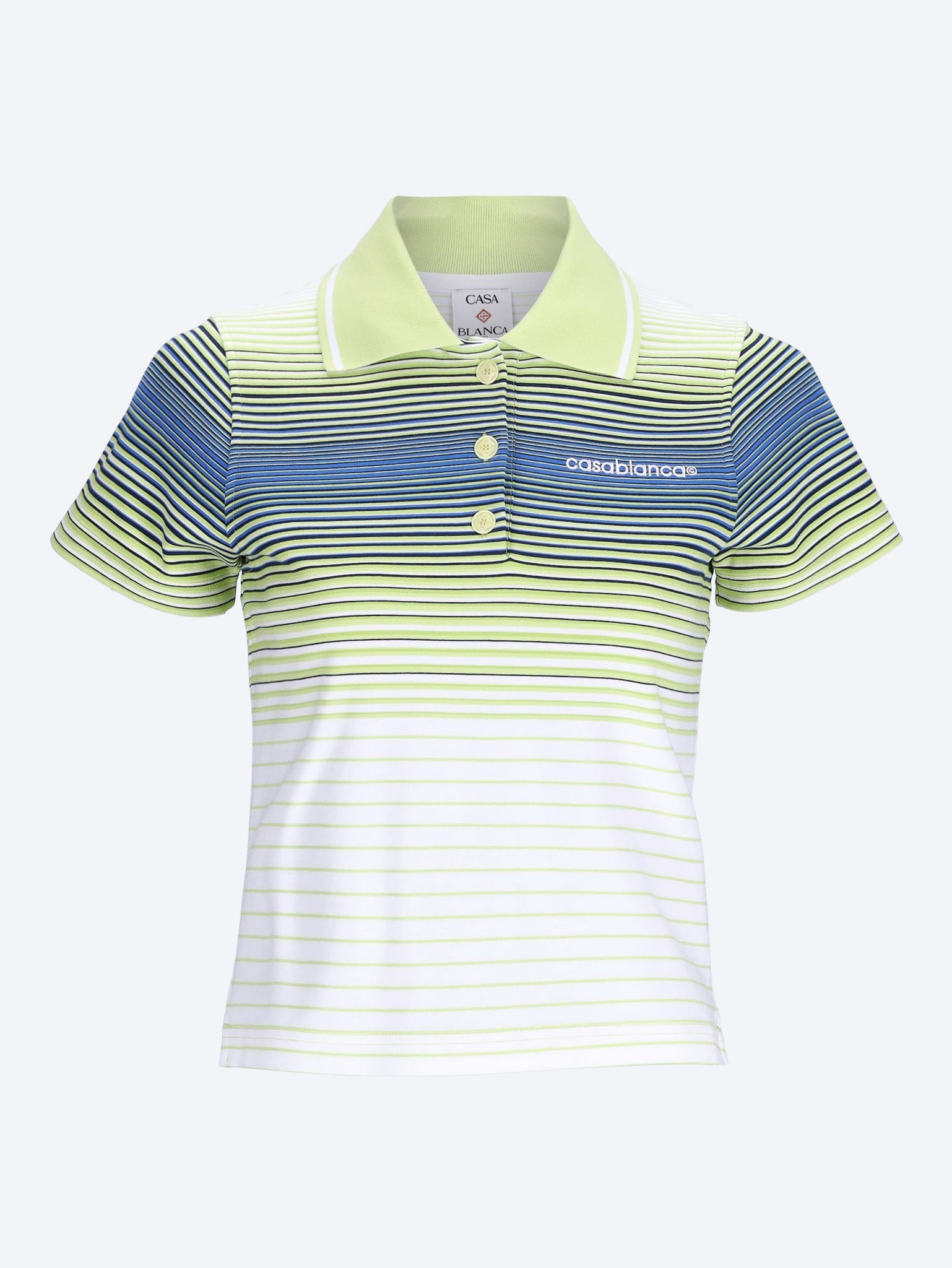 Striped polo 1