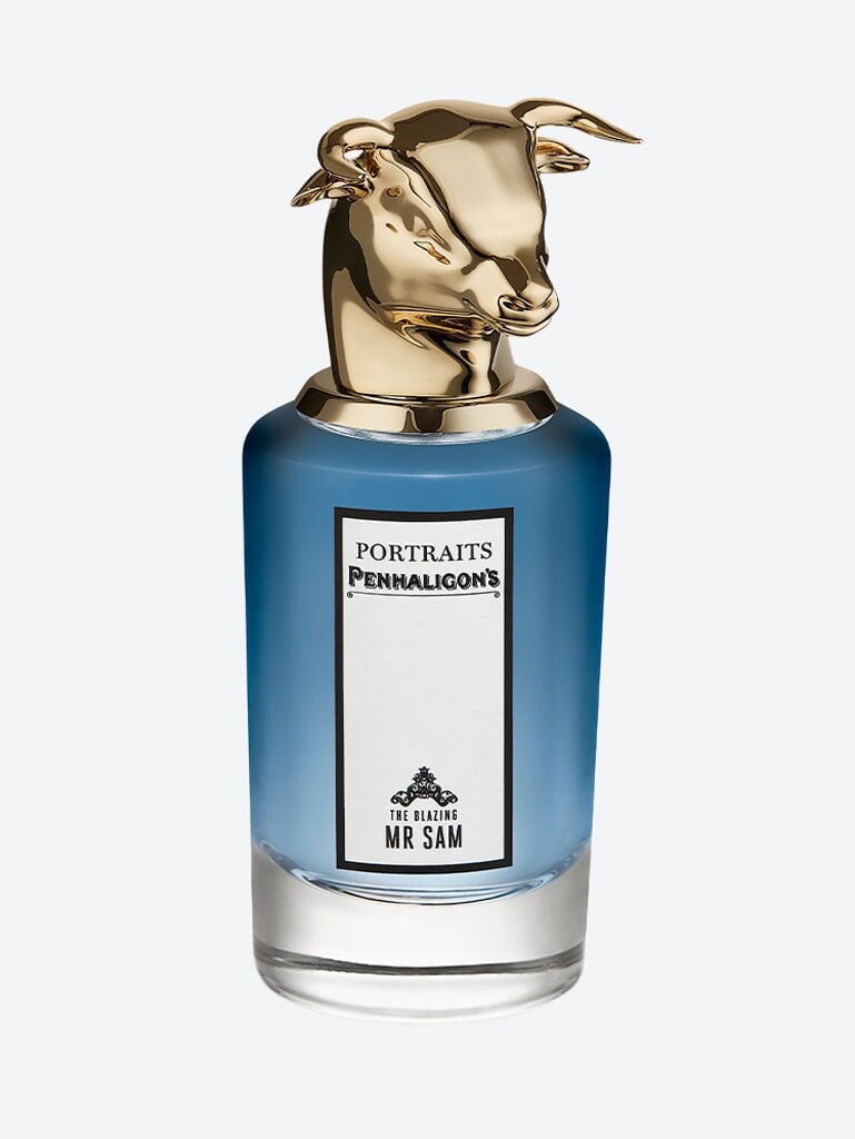 Der strahlende Mister Sam Edp 75 ml 1