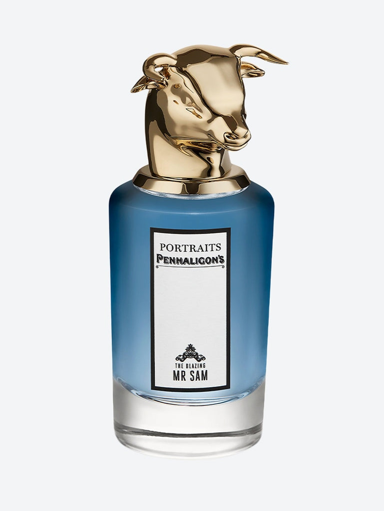 Der strahlende Mister Sam Edp 75 ml 1
