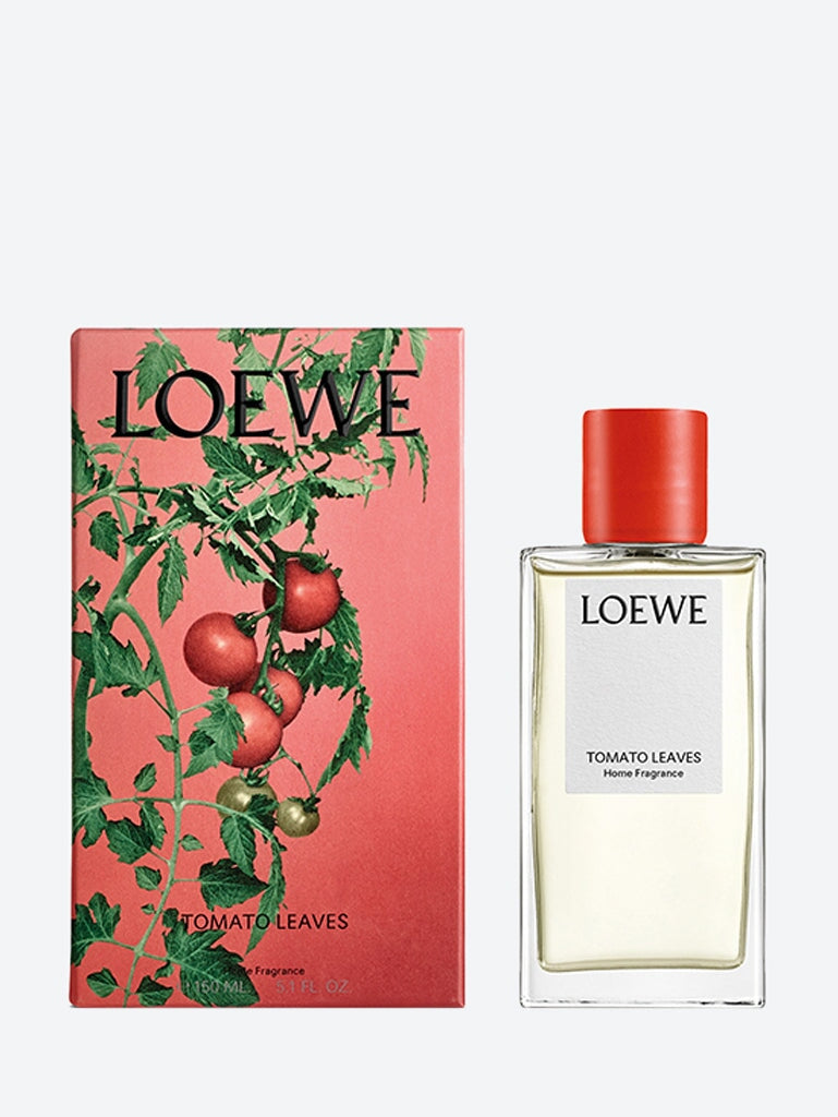 Tomatenblätter zu Hause besprühen 2