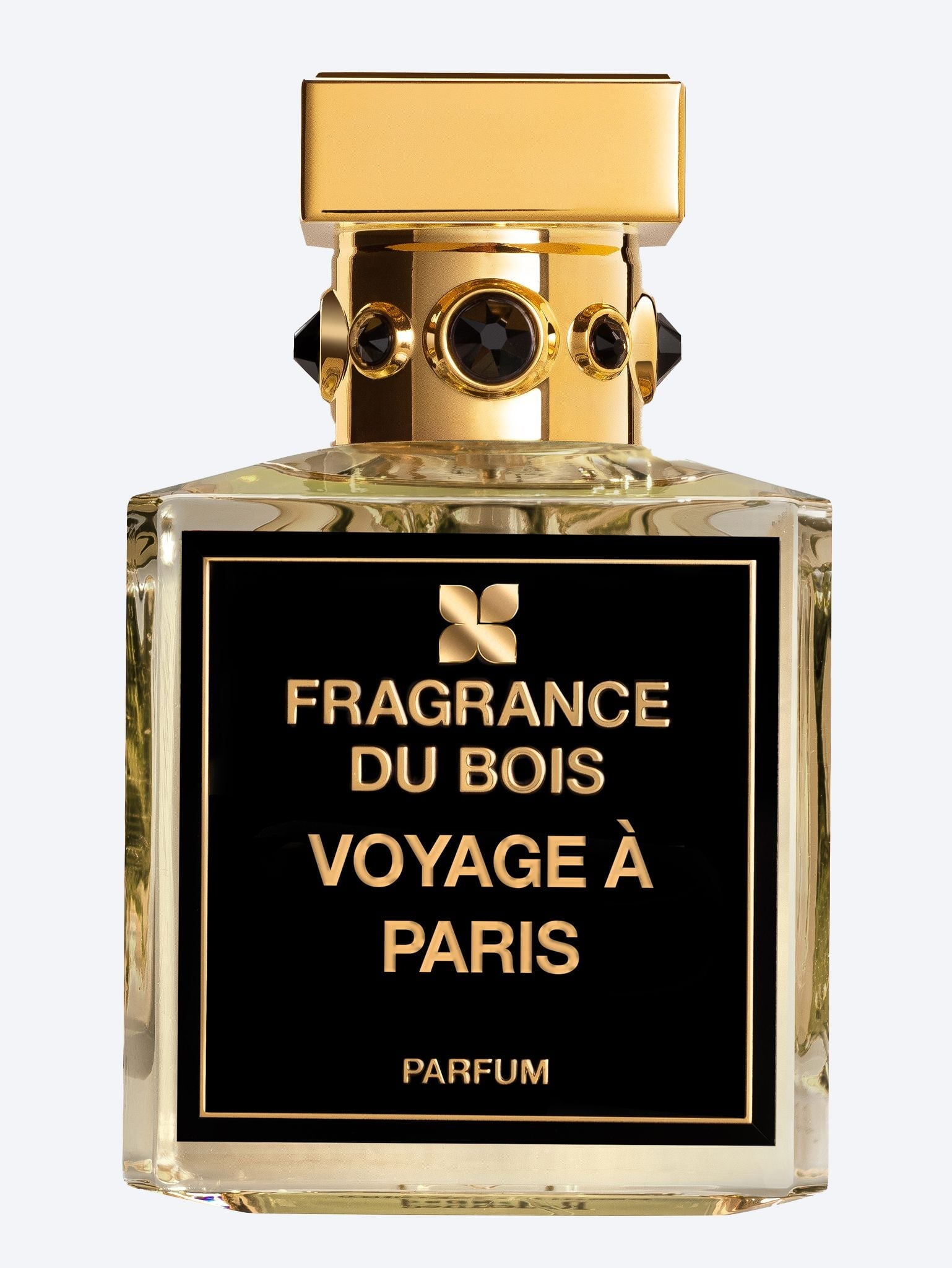 Voyage à Paris edp 1