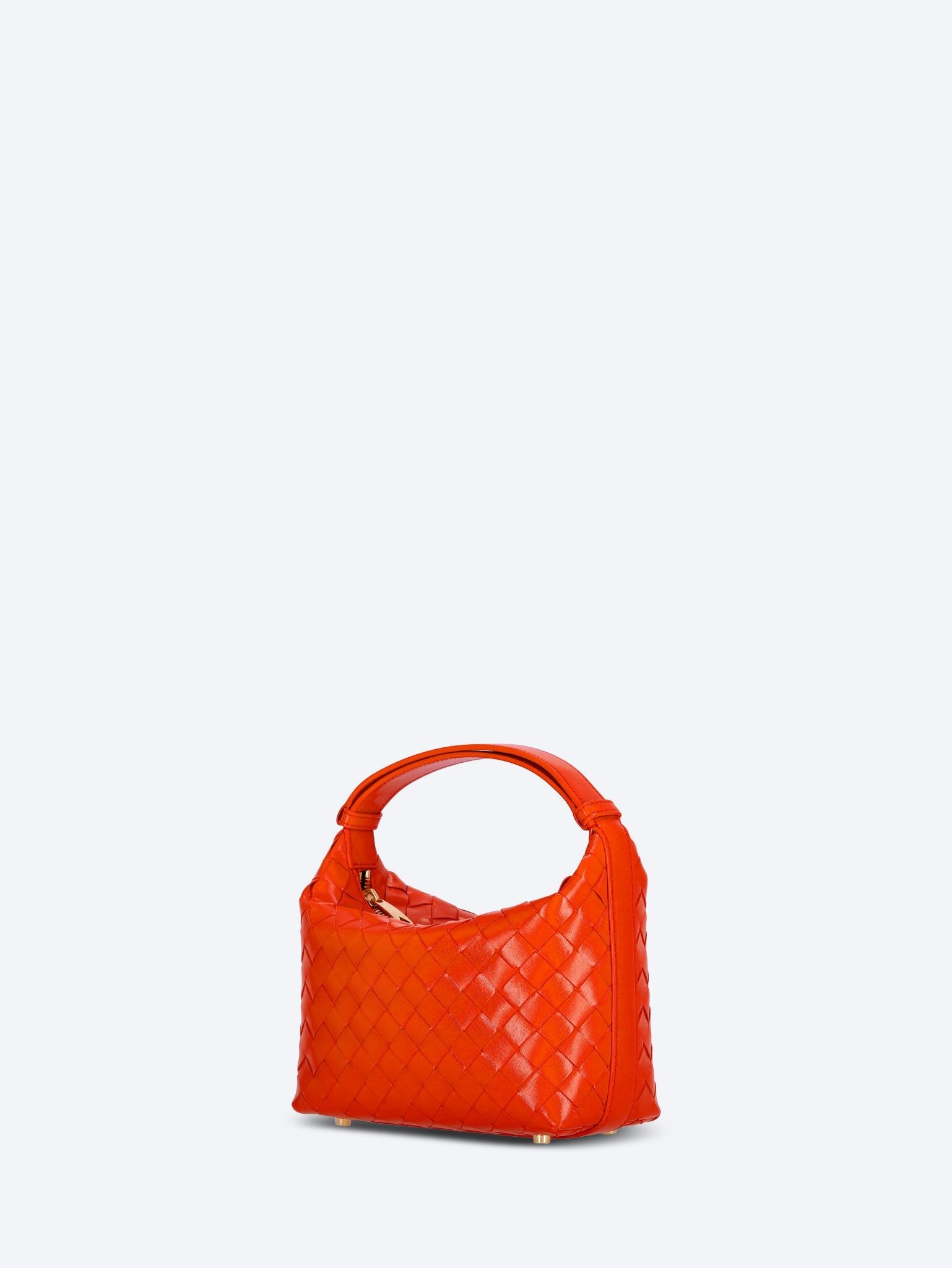 Wallace handbag 2