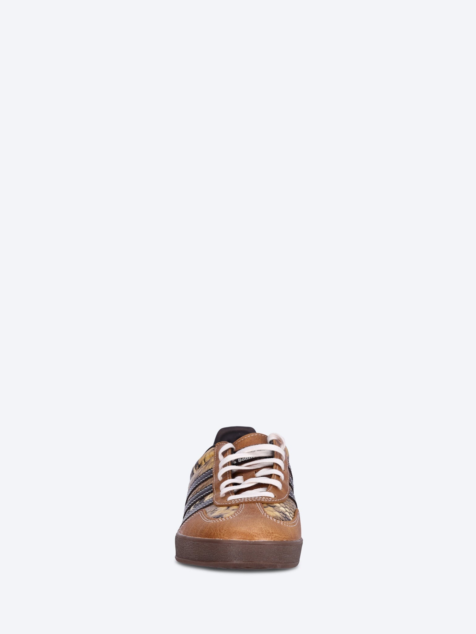 Wb gazelle snake sneakers 3