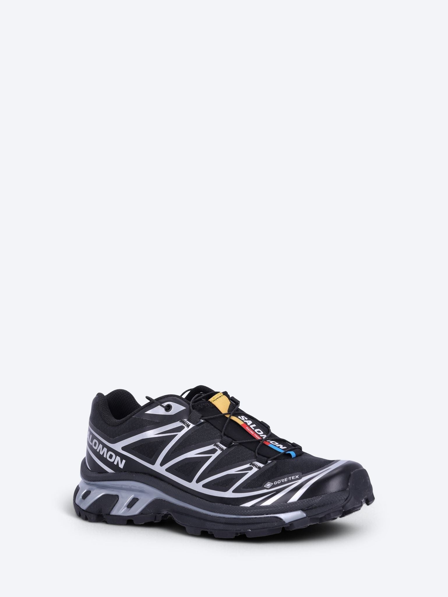 baskets XT-6 GTX 2