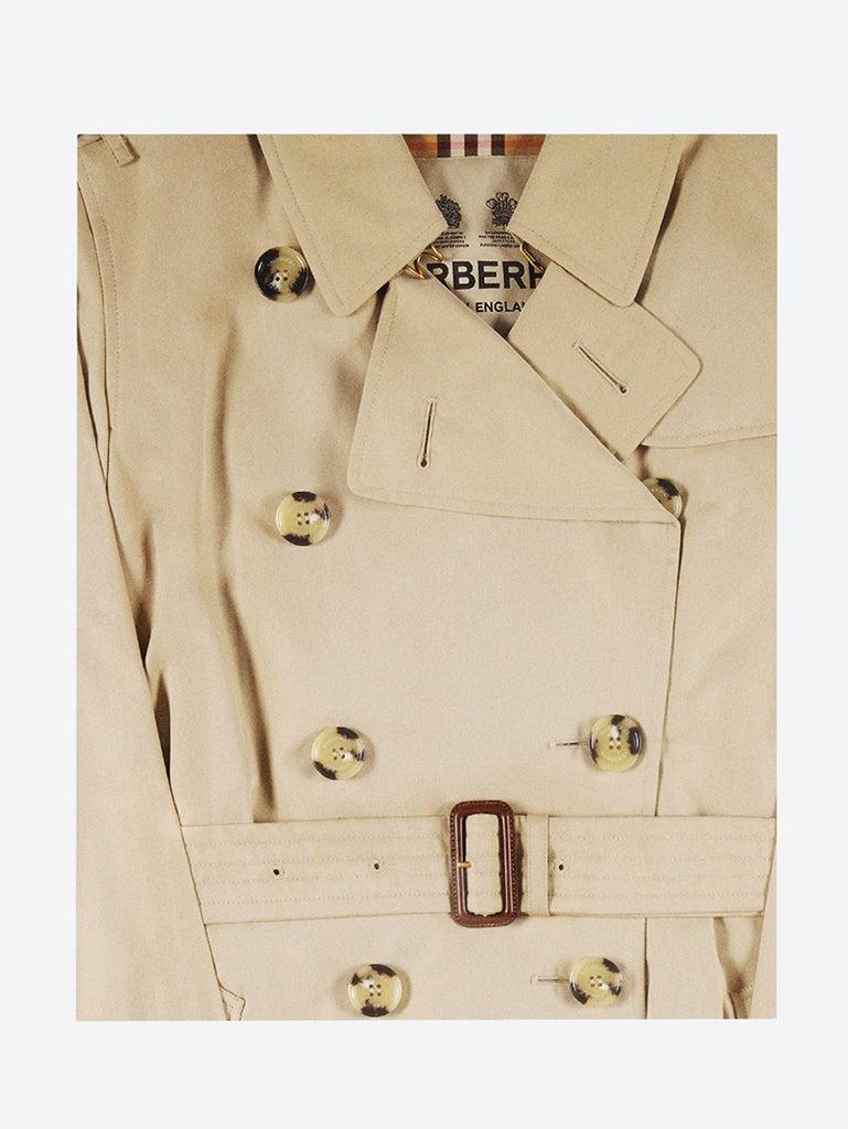 Burberry 1