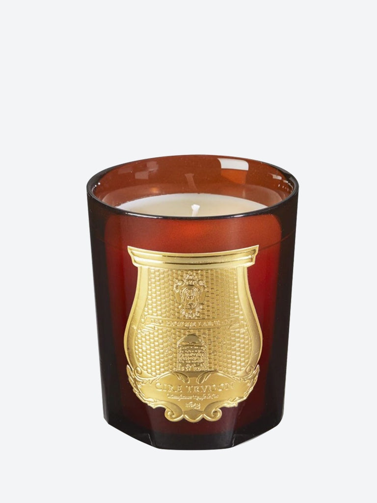 Cire Bienenwachs-Absolutkerze 1