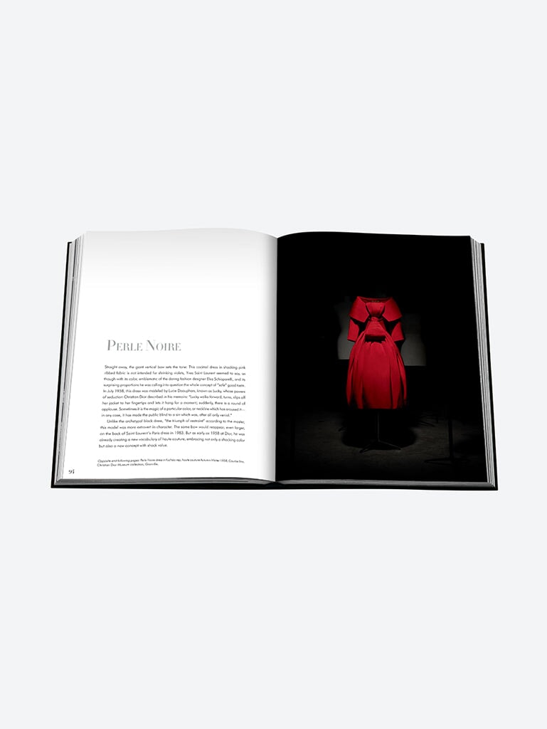 Dior by ysl 7